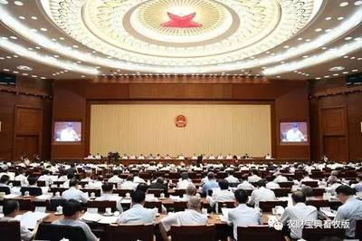 雙喜臨門！養豬合作社與農村民間工藝迎來政策紅利
